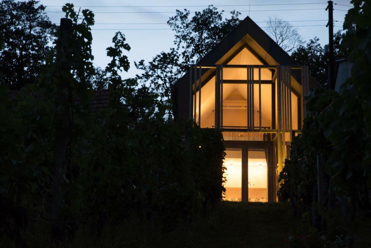 Вилла Weinlofts Weinloft II Eisenberg an der Pinka Экстерьер фото